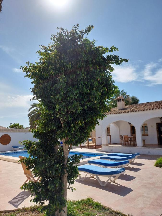 Zenia Hostel Playa Flamenca Eksteriør bilde