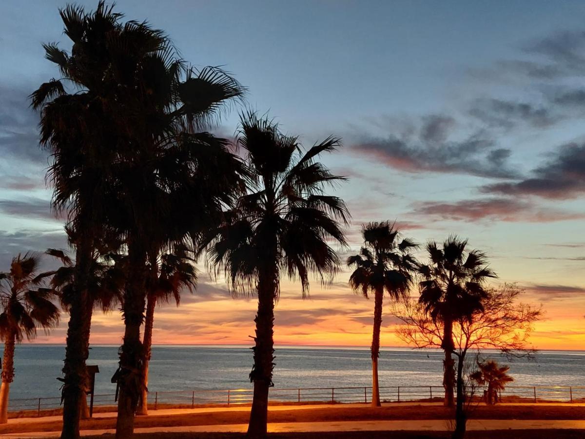 Zenia Hostel Playa Flamenca Eksteriør bilde